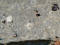ervenica pri Sabinove - renesann katie - npis na fasde vee